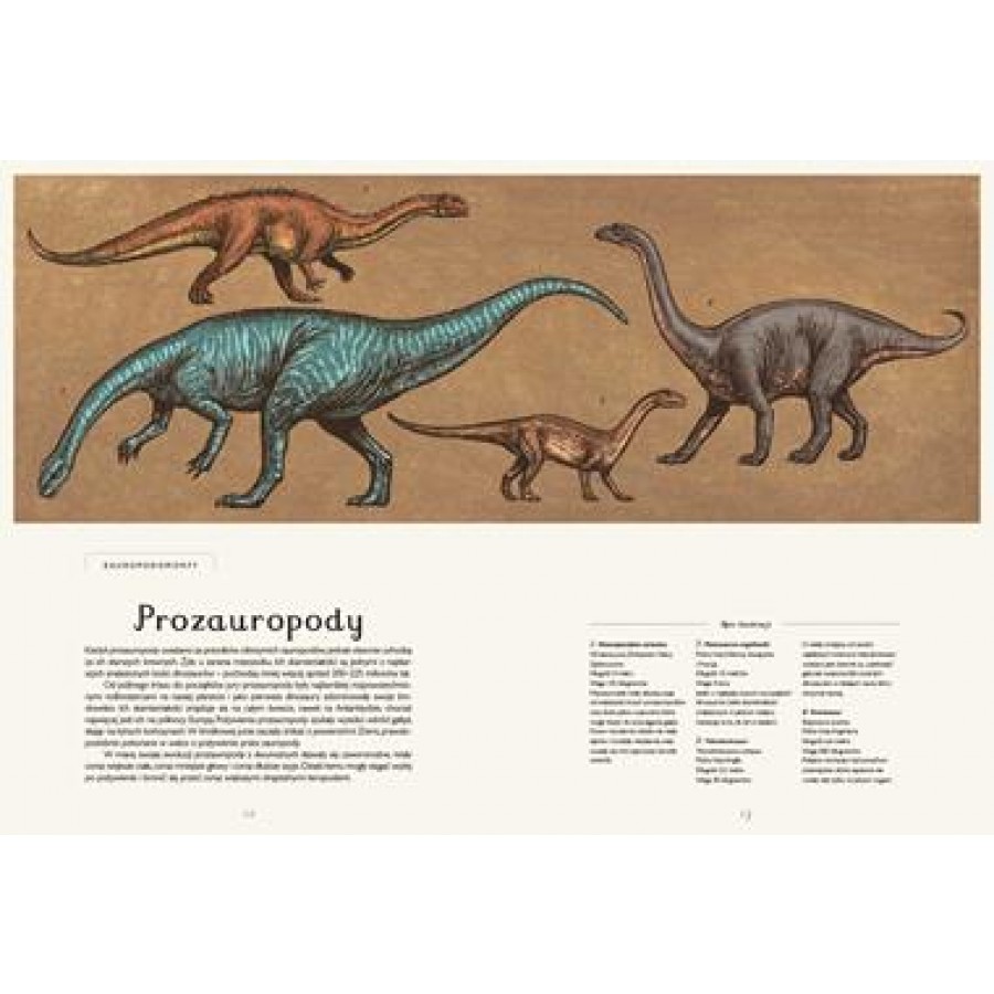 Dinozaurium. Muzeum dinozaurów - Esy Floresy 