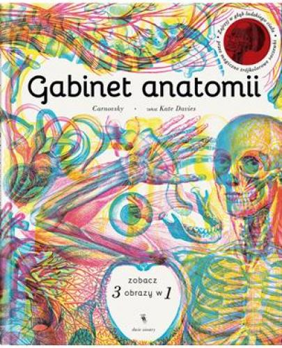 
                                                                                  GABINET ANATOMII - Esy Floresy 